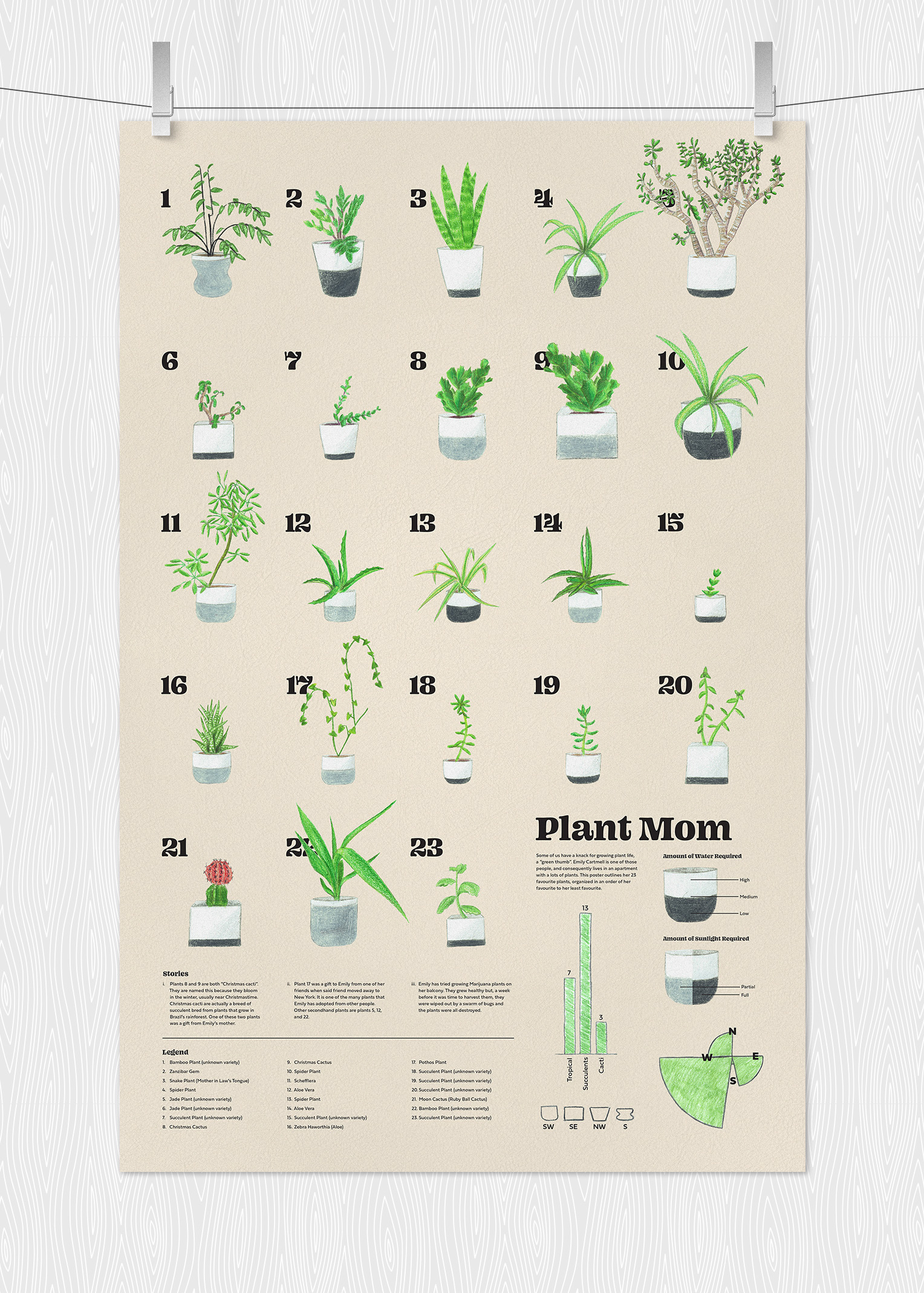 Plant Mom Poster Mockup